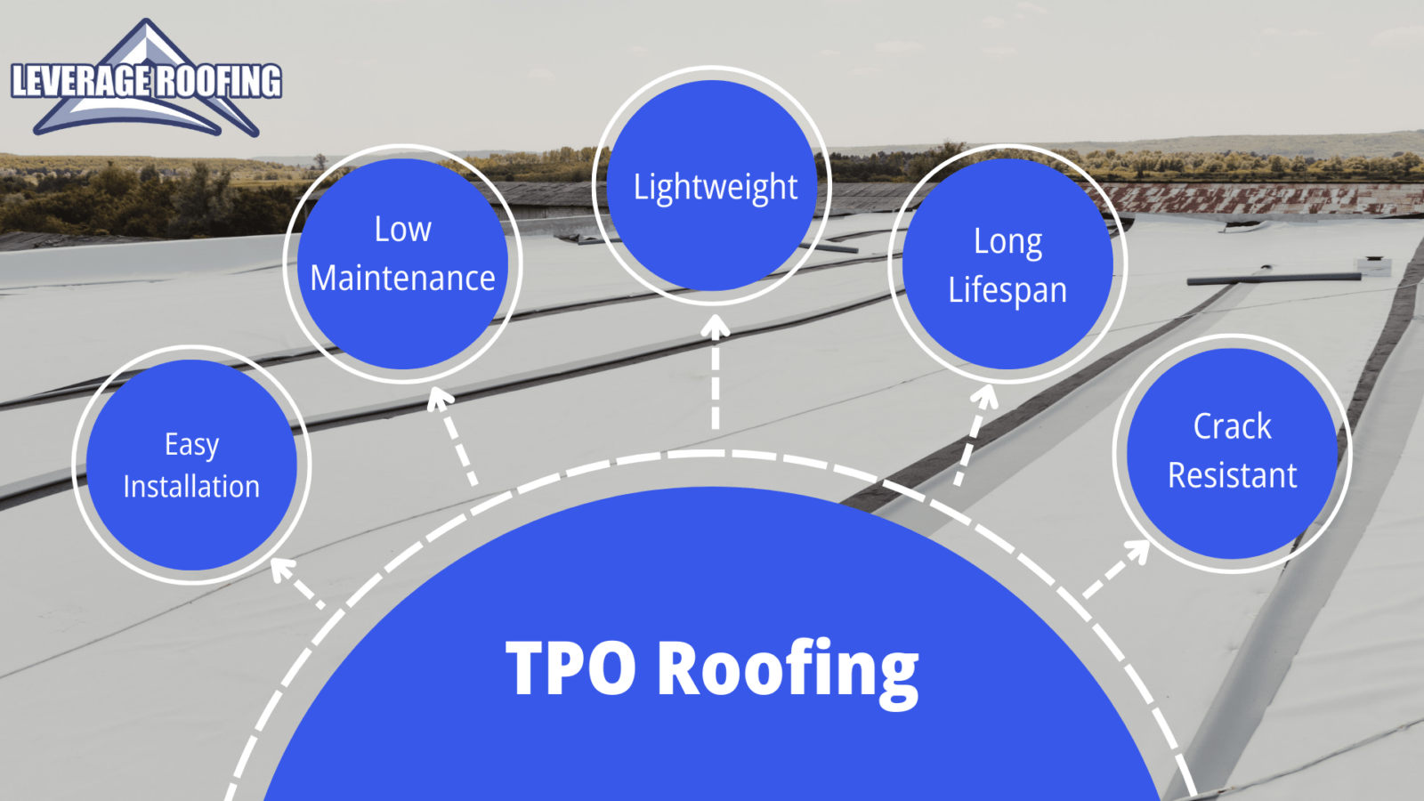 Infographic for Leverage Roofing about TPO roofs