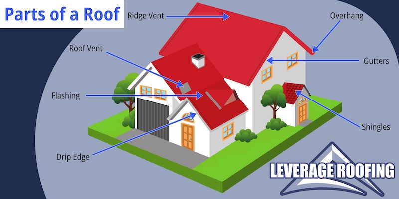 An infographic for Leverage Roofing depicting the many parts of a roof.