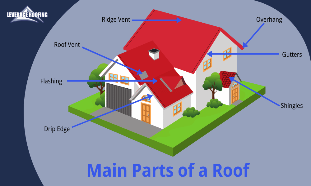 an infographic by leverage roofing explaining the main parts of a roof 