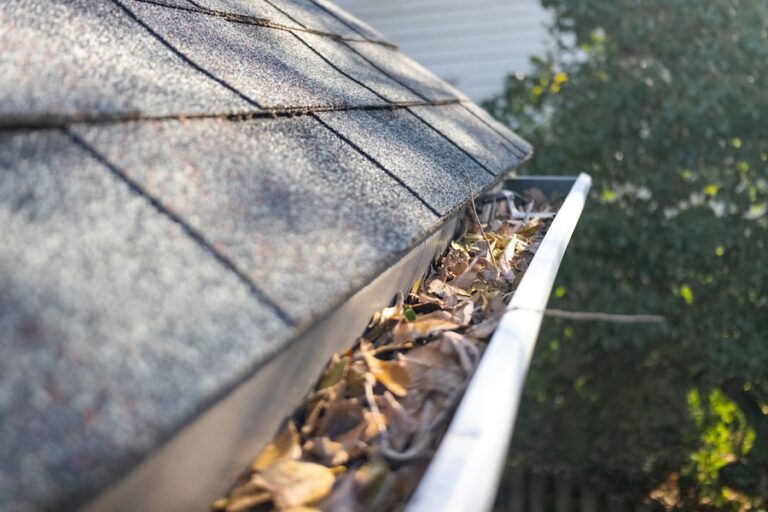 Are Gutter Guards Worth It? A Complete Homeowner’s Guide